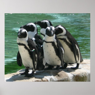 ペンギンフォトプリント ポスター