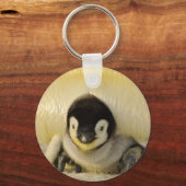 ペンギンベビー キーホルダー (正面)