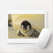 ペンギンベビー マウスパッド (マウス)