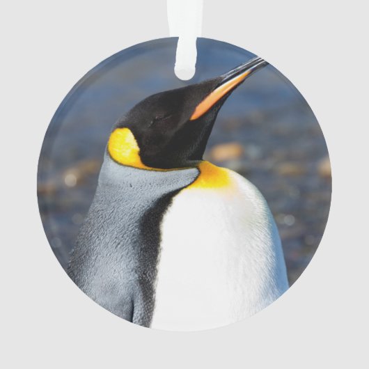 ペンギンポートレート オーナメント (裏面)