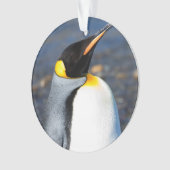 ペンギンポートレート オーナメント (正面)