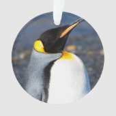 ペンギンポートレート オーナメント (正面)
