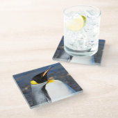 ペンギンポートレート ガラスコースター (アングル)