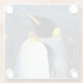 ペンギンポートレート ガラスコースター (裏面)