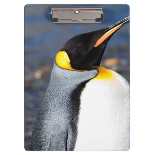 ペンギンポートレート クリップボード (正面)