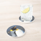 ペンギンポートレート コースター (側面)