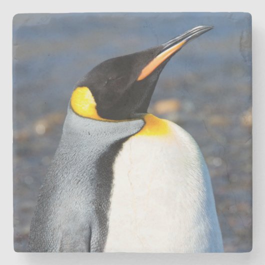 ペンギンポートレート ストーンコースター (正面)