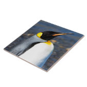 ペンギンポートレート タイル (側面)