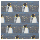 ペンギンポートレート ファブリック (見本)