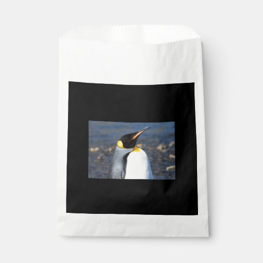 ペンギンポートレート フェイバーバッグ (正面)