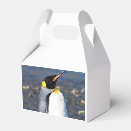 ペンギンポートレート フェイバーボックス (裏面サイド)