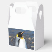 ペンギンポートレート フェイバーボックス (オープン)