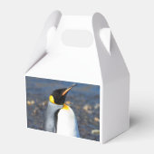 ペンギンポートレート フェイバーボックス (正面サイド)
