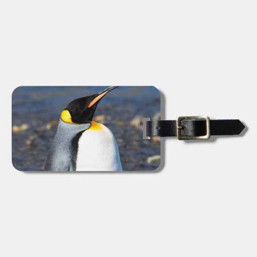 ペンギンポートレート ラゲッジタグ (正面横)