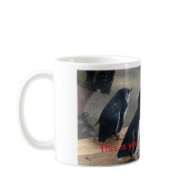 ペンギンマグ