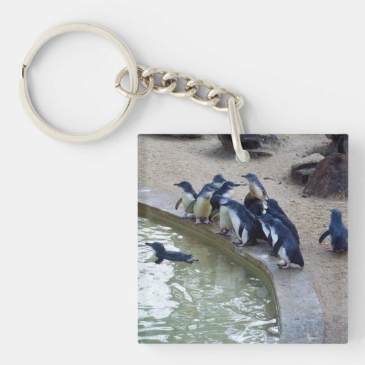 ペンギンリレー: ペンギンの群れ水泳チーム キーホルダー (正面)