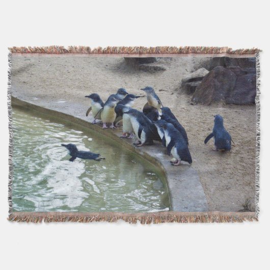 ペンギンリレー: ペンギンの群れ水泳チーム スローブランケット (正面)