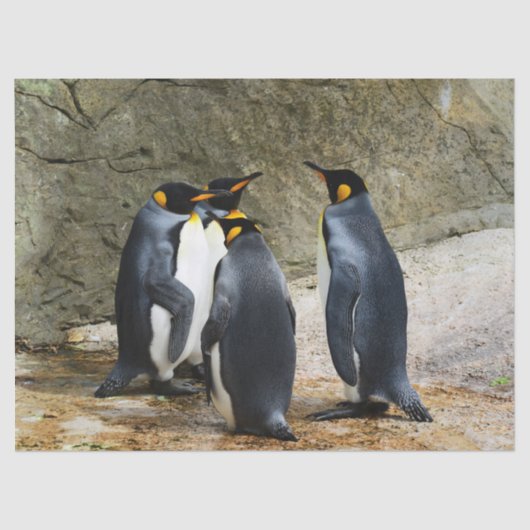 ペンギン会議ティッシュペーパー 薄葉紙 (正面)