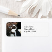 ペンギン住所 シール (インサイチュ)