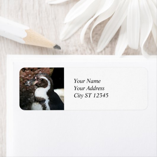 ペンギン住所 シール (インサイチュ)
