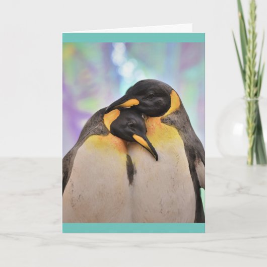 ペンギン写真のグリーティングカード カード (正面)