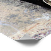 ペンギン写真 ポスター (角)