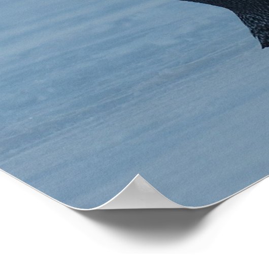 ペンギン北極誕生日シャワーパーティーラブデスティニー ポスター (角)