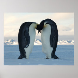 ペンギン北極誕生日シャワーパーティーラブデスティニー ポスター