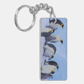 ペンギン南極 キーホルダー (正面左)