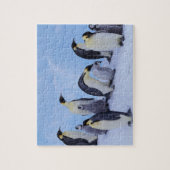 ペンギン南極 ジグソーパズル (縦)