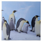 ペンギン南極 タイル (正面)