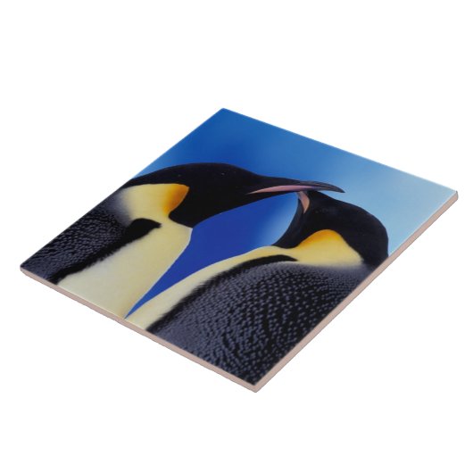 ペンギン南極 タイル (側面)