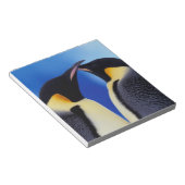 ペンギン南極 ノートパッド (アングル)