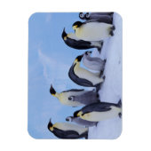 ペンギン南極 マグネット (縦)