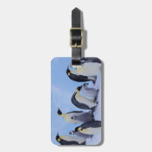 ペンギン南極 ラゲッジタグ (正面縦)