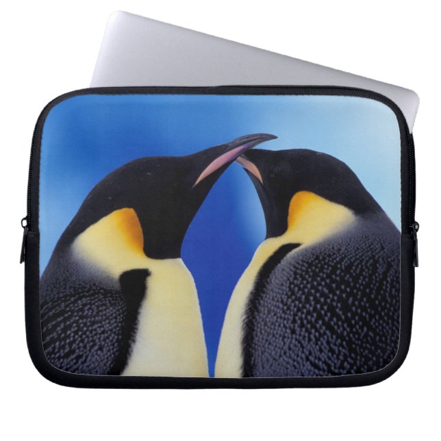 ペンギン南極 ラップトップスリーブ (正面)