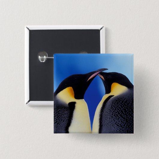 ペンギン南極 缶バッジ (正面&裏面)