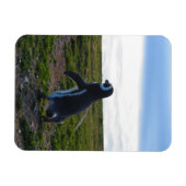 ペンギン可撓磁石 マグネット (横)