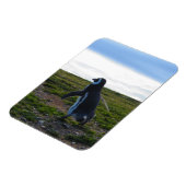 ペンギン可撓磁石 マグネット (左側)