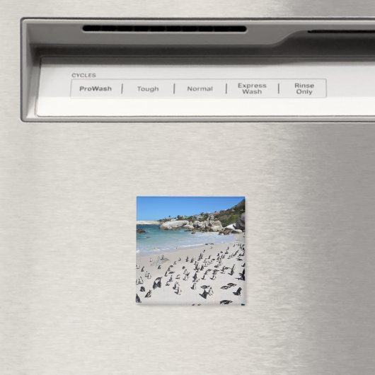 ペンギン大きい石ビーチ |南アフリカ マグネット (インサイチュ (食洗機))