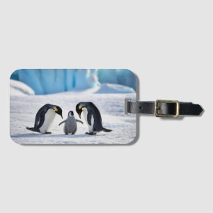 ペンギン家族の荷物タグ ラゲッジタグ