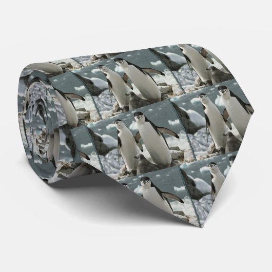 ペンギン家族 ネクタイ (ロール)