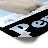 ペンギン救ズ ポスター (角)