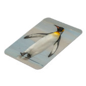 ペンギン歩くオンビーチ マグネット (左側)