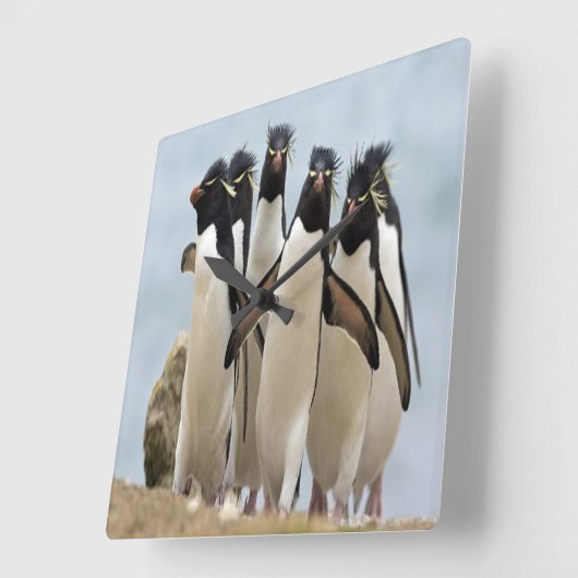 ペンギン歩く沿いの海 スクエア壁時計 (傾斜)