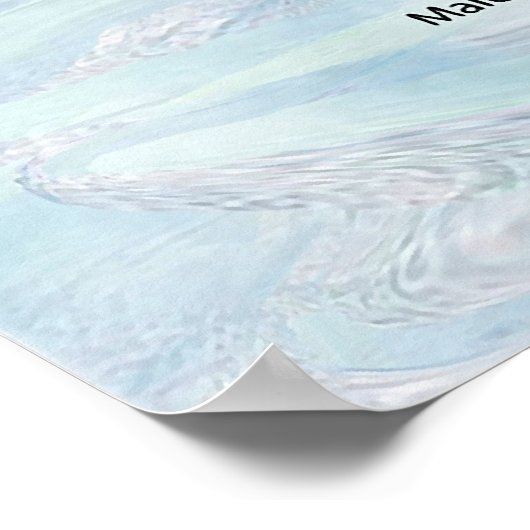 ペンギン皇帝のライフサイクル図 ポスター (角)