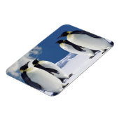 ペンギン磁石 マグネット (左側)