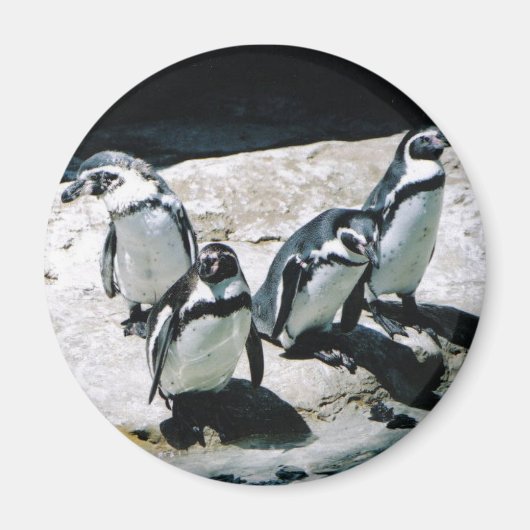 ペンギン磁石 マグネット (正面)