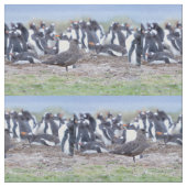 ペンギン素晴らしコロニーの前のシュア ファブリック (クローズアップ)