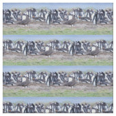 ペンギン素晴らしコロニーの前のシュア ファブリック (見本)